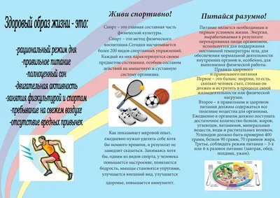 В России проходит Неделя продвижения здорового образа жизни среди детей