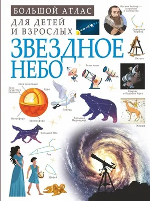 Детский Ночник Звездное Небо с Пультом, Светильник для Новорожденного,  Ночник Проектор для Детей, IOL — Купить на BIGL.UA ᐉ Удобная Доставка  (2009142013)