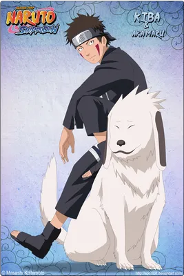 Kiba Inuzuka Wallpaper (59+ images)