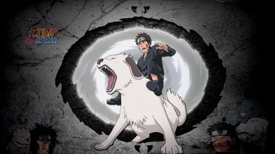 Kiba Inuzuka Akamaru Naruto Wallpaper - Resolution:1920x1200 - ID:404130 -  wallha.com