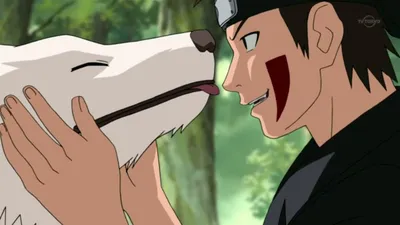 Kiba Inuzuka and Akamaru wallpaper | Wallpaper naruto shippuden, Kiba and  akamaru, Anime naruto