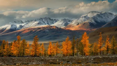 Фото Алтай: незабываемая природа