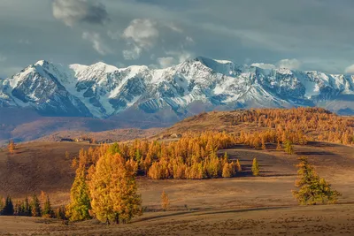 Фото Алтай: красота природного наследия
