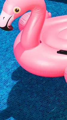 iPhone and Android Wallpapers: Flamingo Pool Float Wallpaper for iPhone and  Andro… | Papel de parede de verão, Papel de parede para iphone, Flamingo  papel de parede