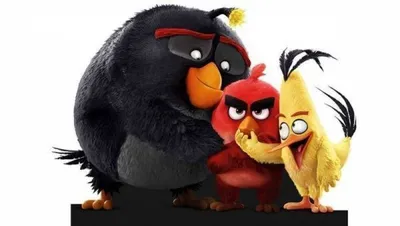 Динамические обои Angry Birds: скачать для Windows