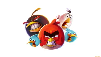 Обои на телефон с Angry Birds: выбирайте формат загрузки