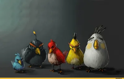 Angry Birds: фото на рабочий стол с популярными персонажами