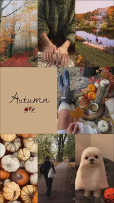 Лучшие обои на тему Autumn для твоего устройства