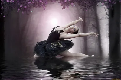 Балерина в webp: стильные обои для iPhone