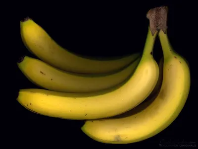 Бесплатные обои для iPhone с бананами: Свежие фотографии!