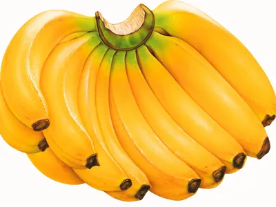 Обои с бананами для iPhone: Скачай бесплатно в формате WebP!
