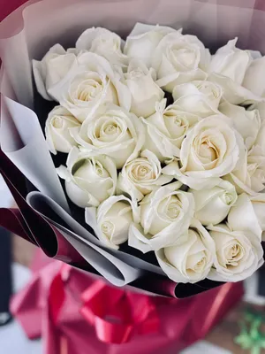 Обои Белые розы для iPhone в формате webp