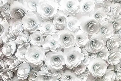 Красивые обои с белыми розами для рабочего стола