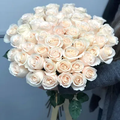 Фото белых роз на телефон в хорошем качестве для скачивания
