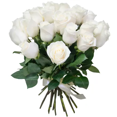 Обои Белые розы для iPhone и Android в формате png