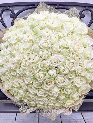 Фон с белыми розами для рабочего стола