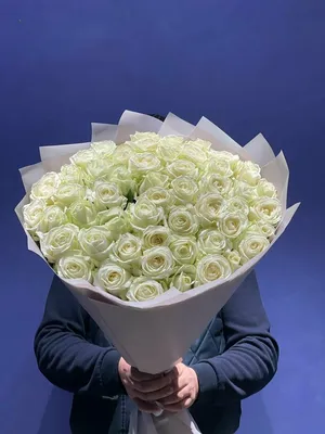 Белые розы - красивые обои для рабочего стола на Windows 10