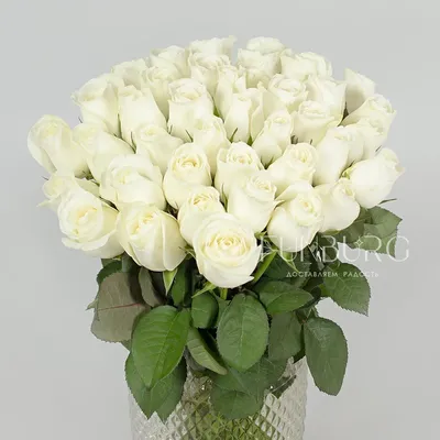 Фото белых роз на телефон в формате jpg