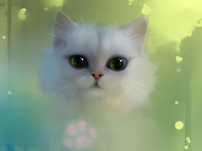 Белый котенок: обои для iPhone и Android