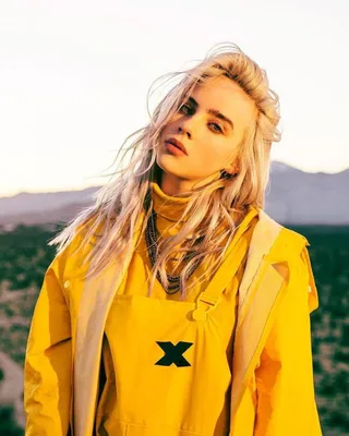 Скачать бесплатно обои Billie Eilish для рабочего стола