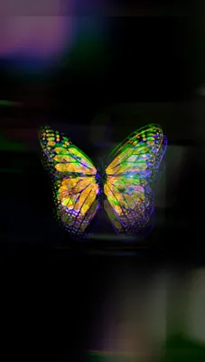 Butterfly-effect: загадочные обои для телефона в высоком разрешении (JPG)
