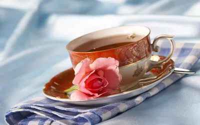 Расслабьтесь с чашкой ароматного чая: обои для iPhone и Android