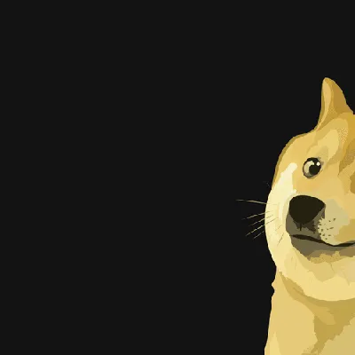 Doge: Скачать обои на рабочий стол в формате PNG