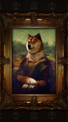 Фото Doge: Скачать бесплатно обои в PNG для iPhone