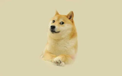 Doge: Обои в хорошем качестве для iPhone и Android (JPG)