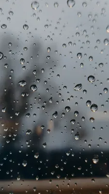 Дождь на стекле: обои на телефон в формате jpg