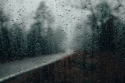 Дождь на стекле: фото обои на телефон в формате webp