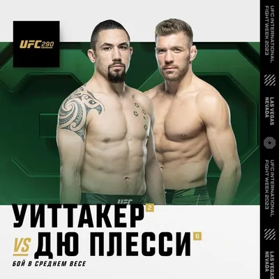 Эксклюзивные обои mma/ufc с Дри­кусом Дю Плес­си