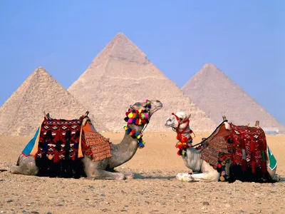 Обои на телефон Египет - выберите формат скачивания