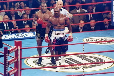 Эвандер Холифилд против Майка Тайсона Титульный бой в Лас-Вегасе, 1997 г. Изображения | Бокс Плакаты
