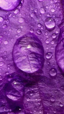 Абстрактные обои Фиолетового цвета на телефон