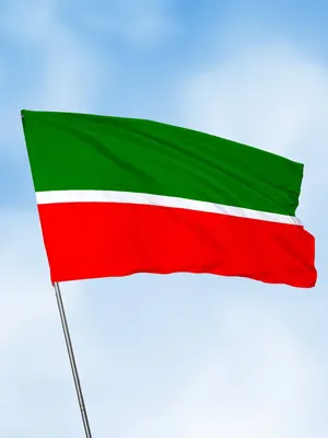 Флаг Татарстана в формате WEBP для скачивания