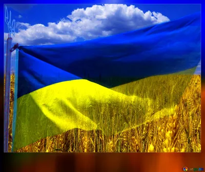 Флаг Украины - обои на телефон в jpg формате
