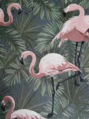 Фламинго как символ элегантности – обои на телефон