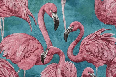 Фламинго в монохромном стиле – стильные обои для телефона
