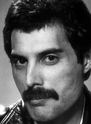 Обои freddie mercury на рабочий стол в формате png