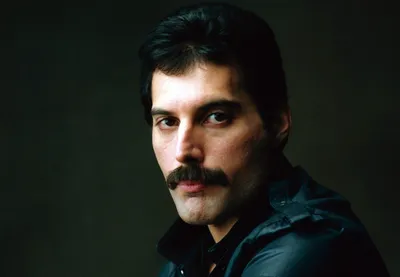 Скачать бесплатно обои freddie mercury для android в формате png