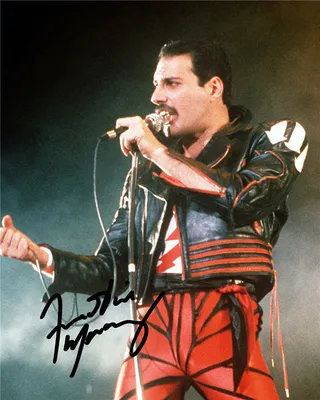 Скачать бесплатно обои freddie mercury для android в формате webp