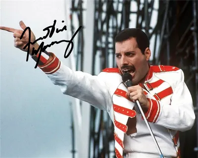 Скачать бесплатно обои freddie mercury для android в хорошем качестве