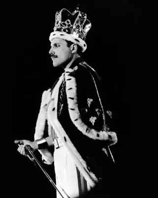 Обои freddie mercury на рабочий стол в формате jpg