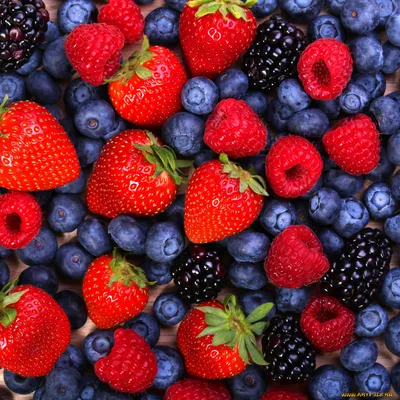 Обои Фрукты ягоды: лучшие изображения для вашего телефона