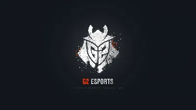 Обои G2 esports для iPhone: бесплатно и в хорошем качестве