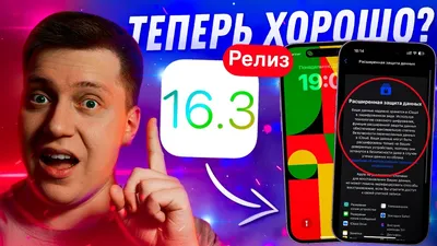 Общее: скачивай обои для iPhone, Android, Windows.