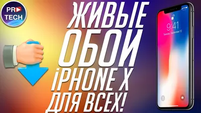 Скачать бесплатно обои iphone для Windows в хорошем качестве