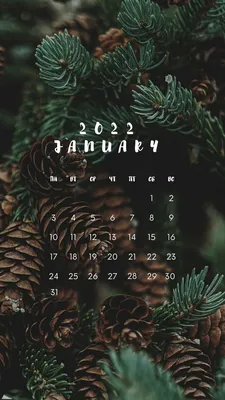 Обои Календарь для iPhone и Android: скачать бесплатно