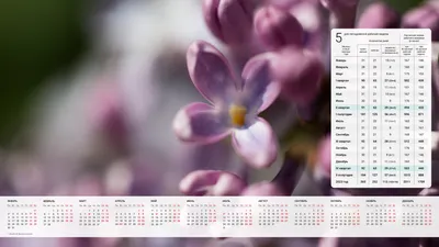 Календарь на экран телефона в формате jpg: скачать бесплатно